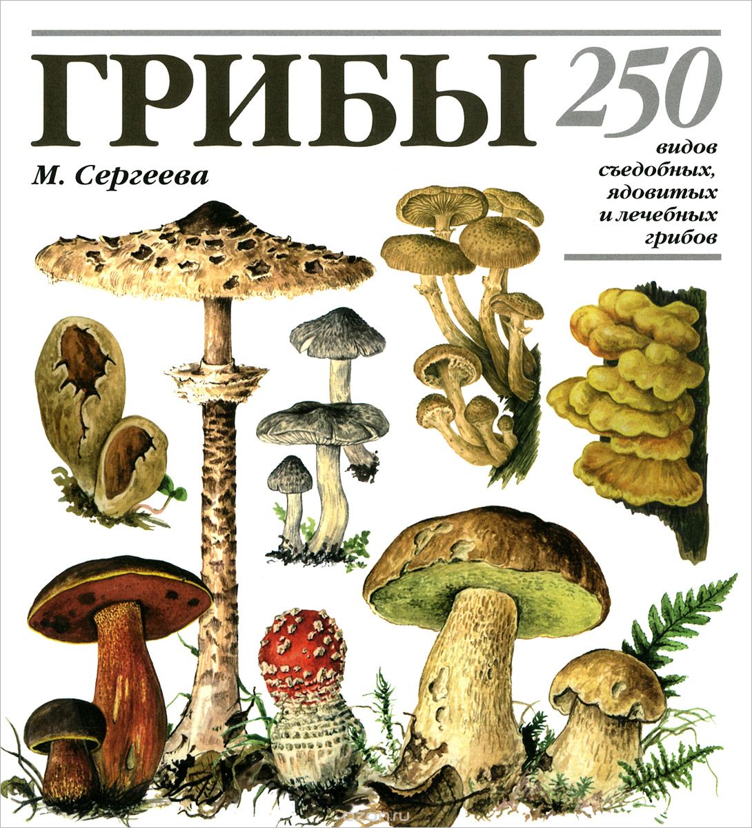 Грибы. 250 видов съедобных, ядовитых и лечебных грибов, М. Н. Сергеева, Н. Г. Замятина, Л. В. Гарибова